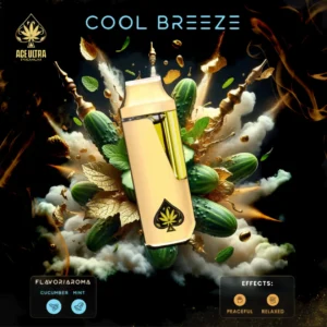 Ace ultra premium Cool Breeze 2g mini disposable