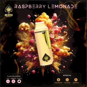 Ace Raspberry Lemonade 2g Mini Disposable | Gen 4