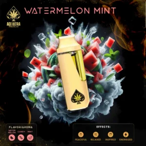 Ace Watermelon Mint 2g Mini Disposable | Gen 4