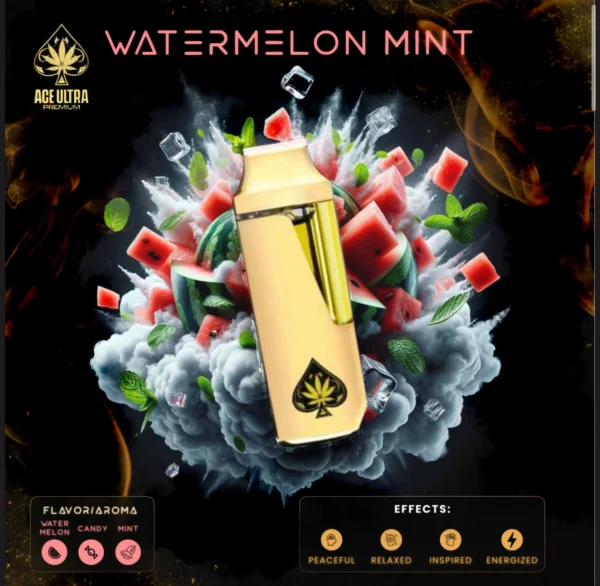 Ace Watermelon Mint 2g Mini Disposable | Gen 4